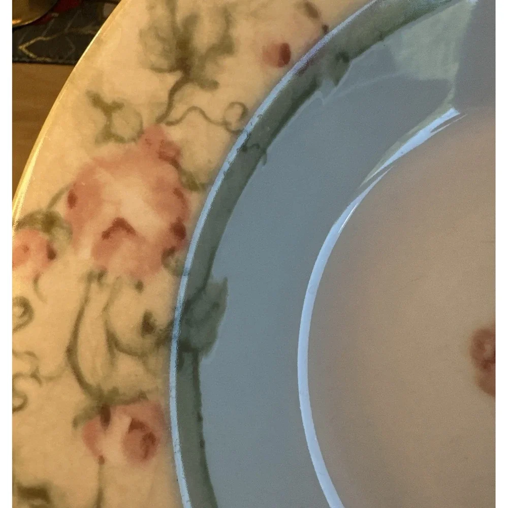 CHERI BLUM For 222 FIFTH Floral Rimmed 9